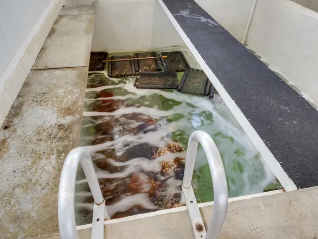 $989,000 | 132-00 Wallace Shore Road, Harpswell, ME 04079