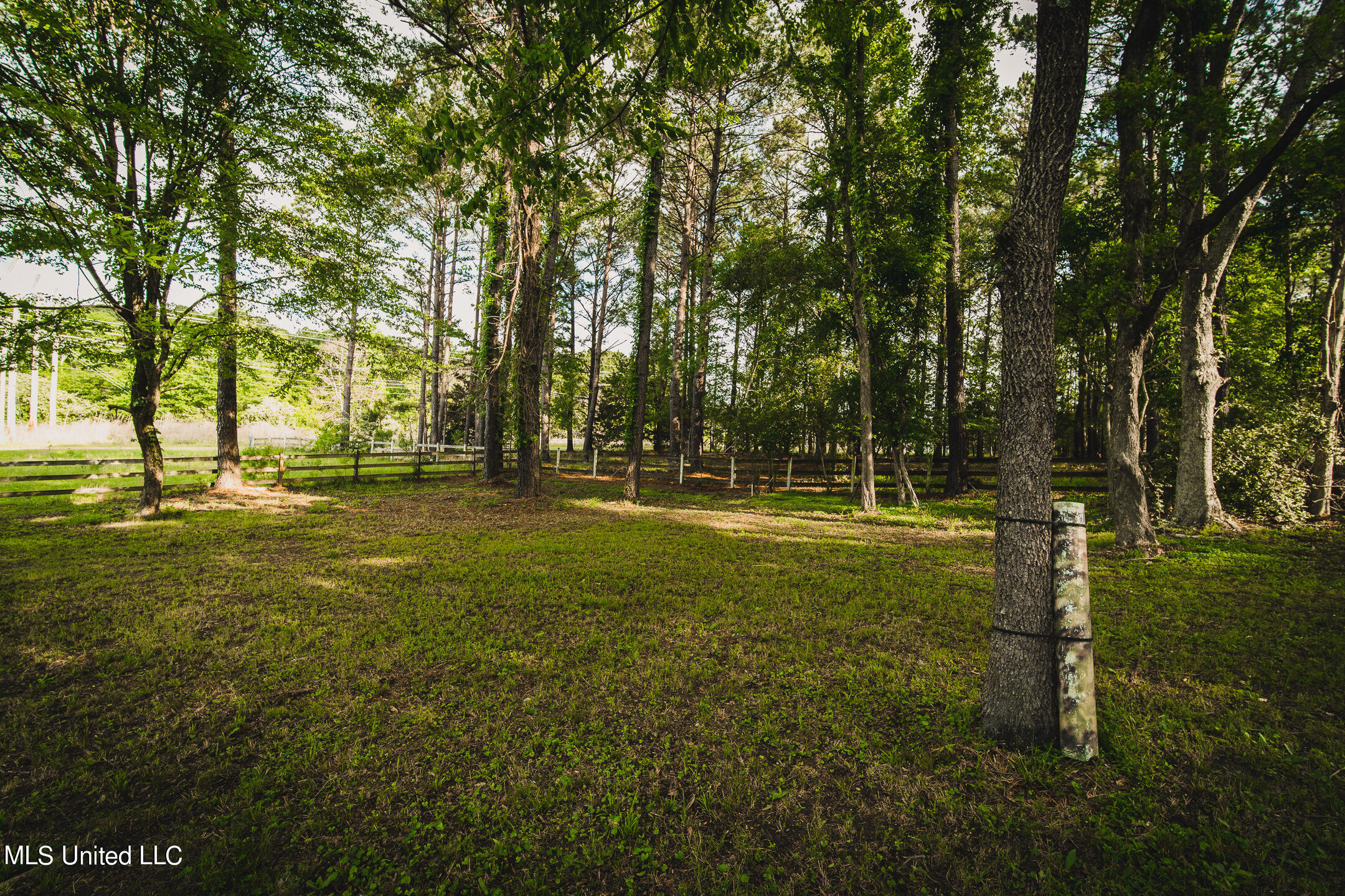 555 Hoy Road Madison, MS 39110 - Photo 12 of 62 555 HOY RD PICS-55
