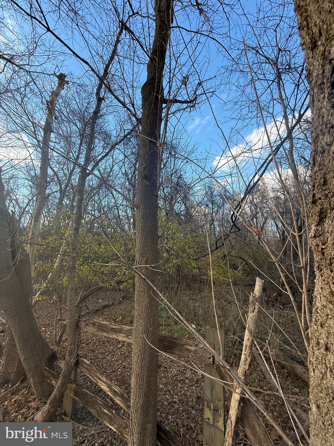 0 Howellsville Road Front Royal, VA 22630 - Photo 4 of 5 a backyard of a house with lots of green space