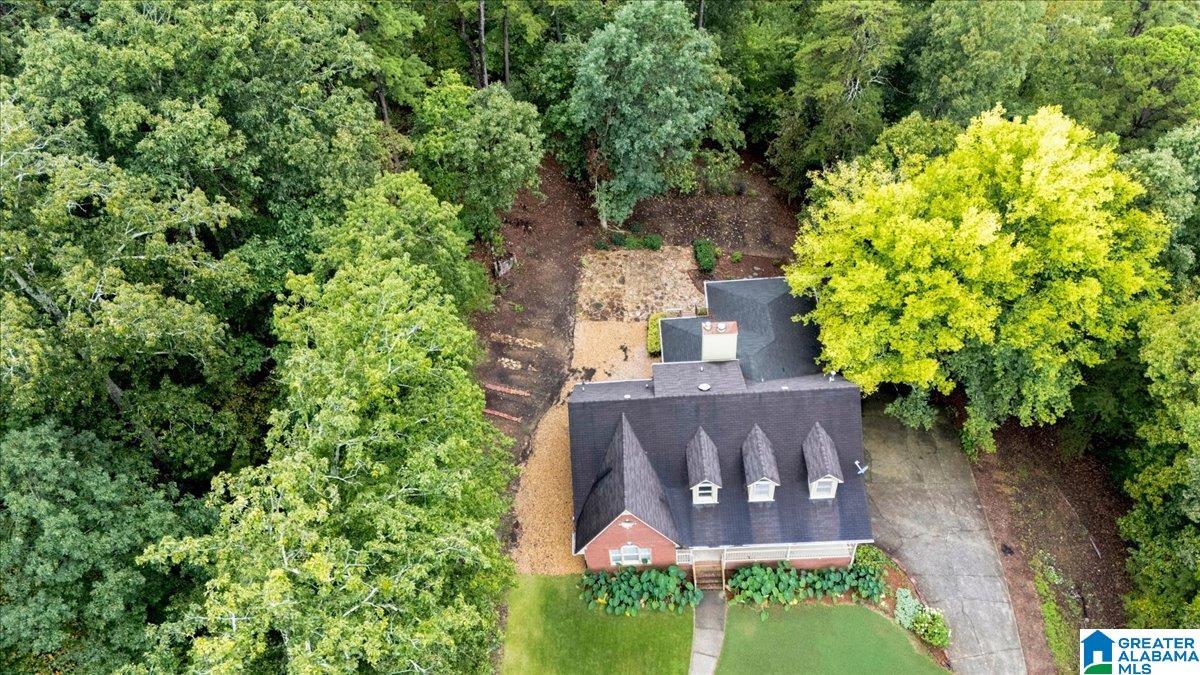1600 Pine Mountain Road Remlap, AL 35133 - Photo 55 of 56 Gallery Image 55
