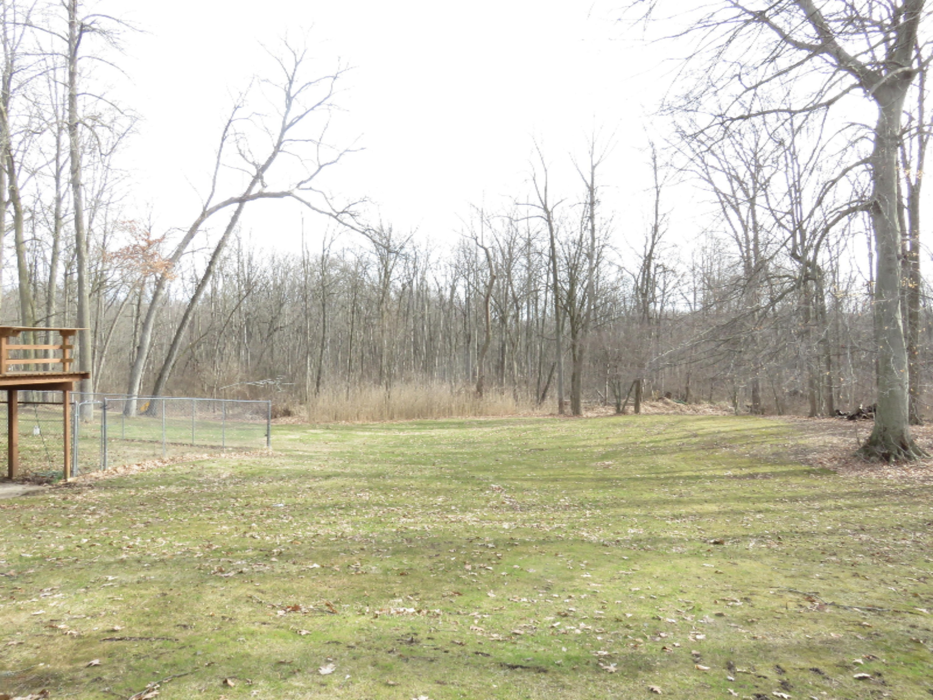 68859 Baldwin Prairie Road Union, MI 49130 - Photo 16 of 28 IMG_3014