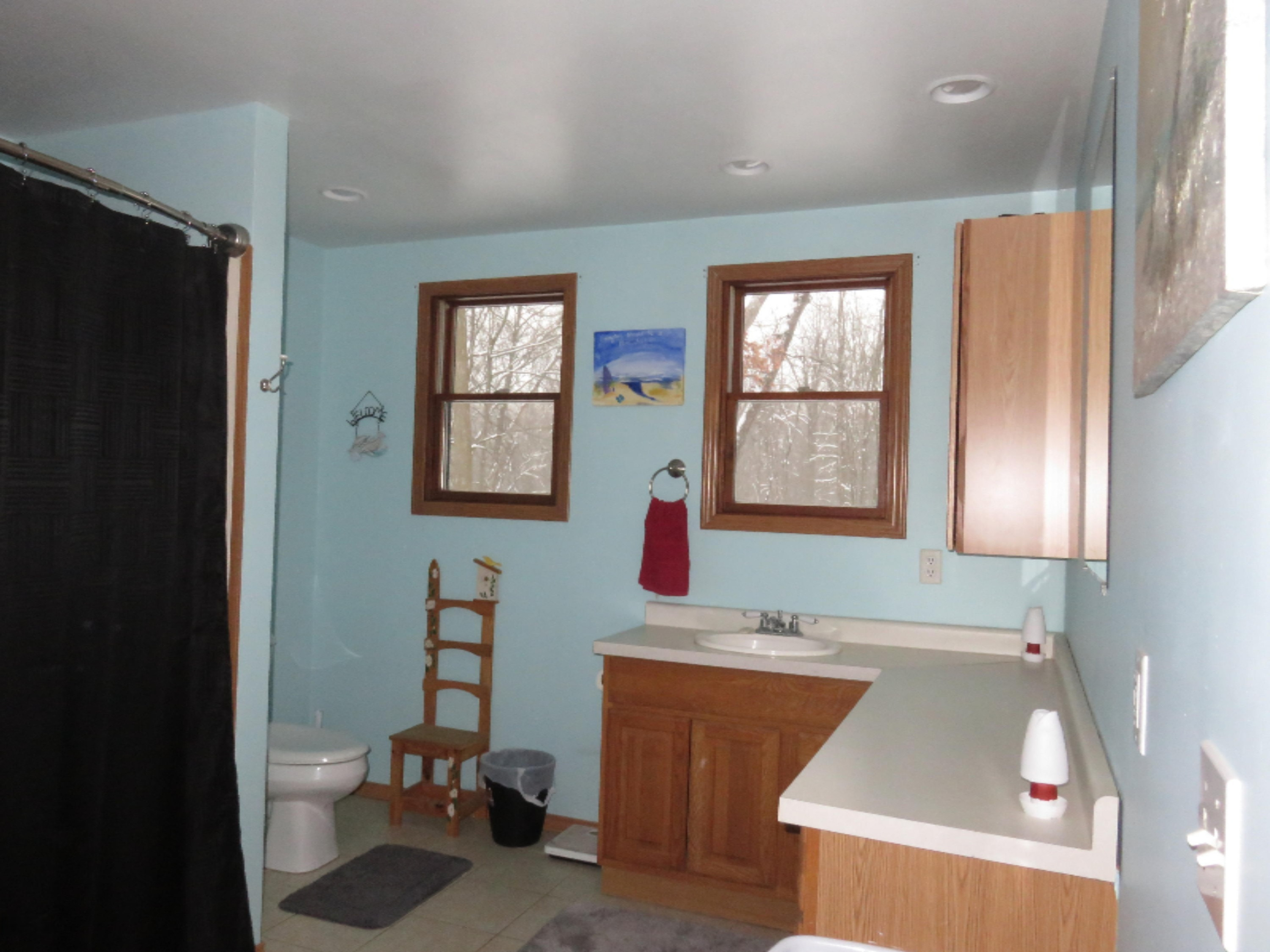 68859 Baldwin Prairie Road Union, MI 49130 - Photo 22 of 28 IMG_2916