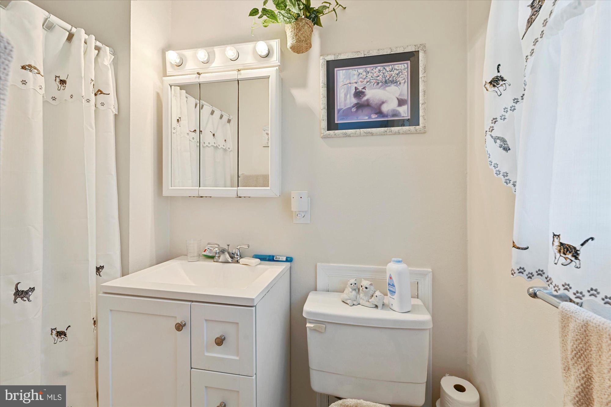 1205 Reames Road Baltimore, MD 21220 - Photo 17 of 28 Bathroom