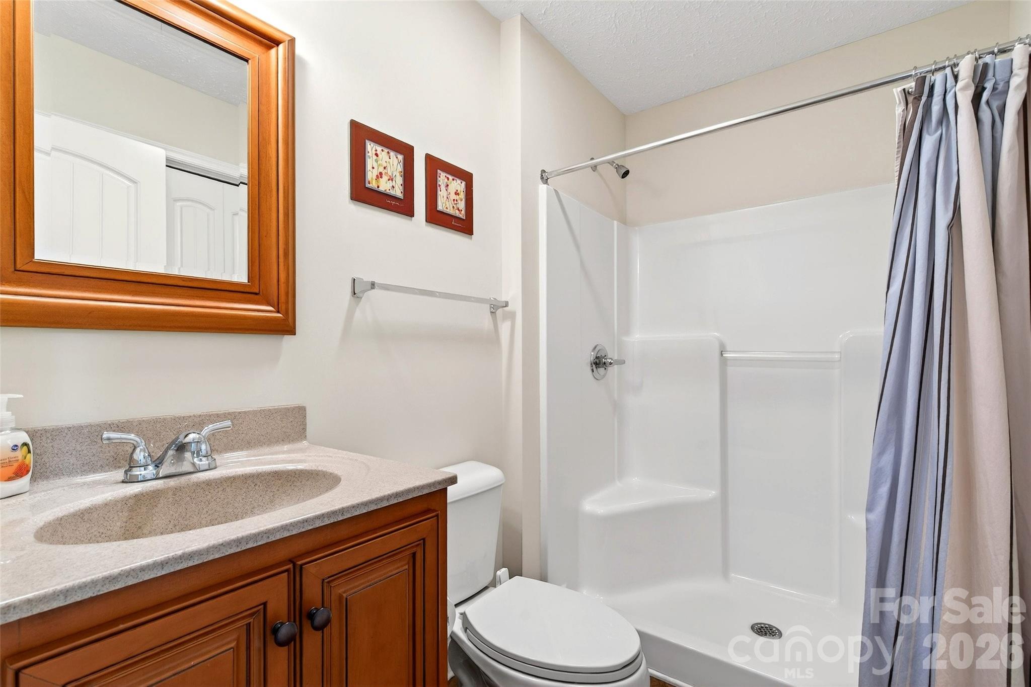 741 Blue Ridge Drive North Marion, NC 28752 - Photo 35 of 40