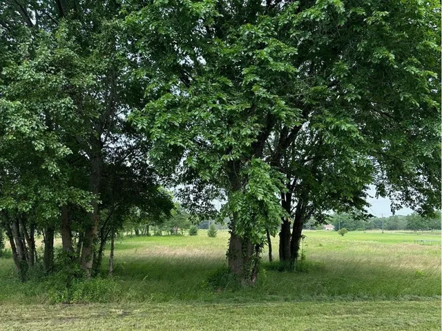 a view of backyard with green space