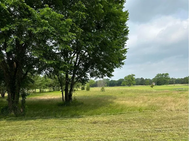 a view of a trees with a yard