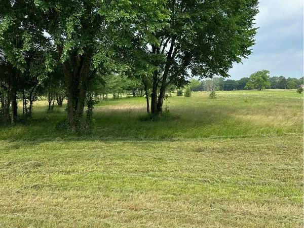 a view of yard with green space