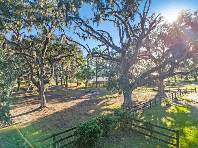 a view of yard with tree