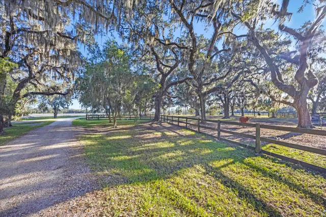 a view of yard with tree s