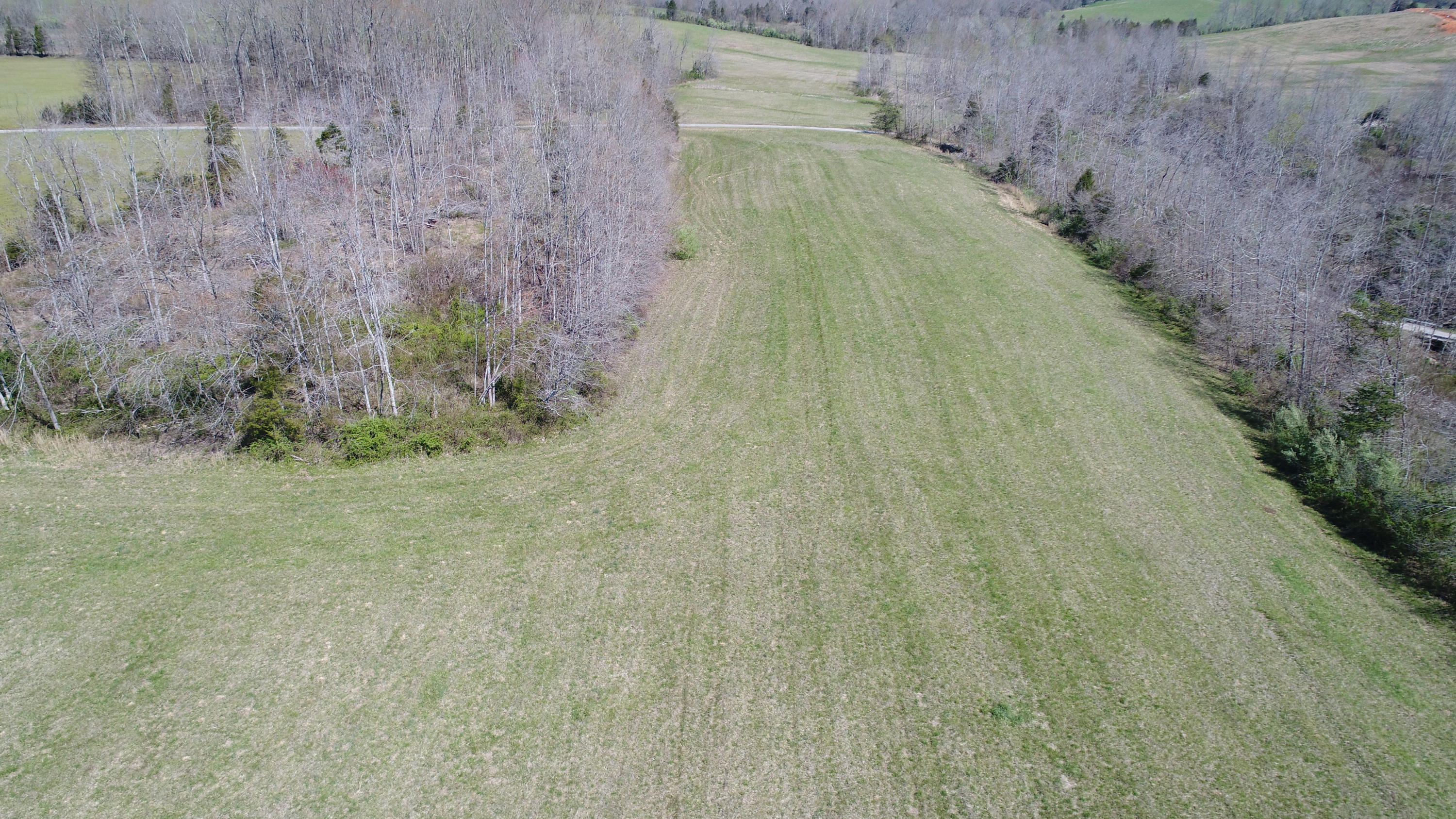 250 Ben Thompson Road Eubank, KY 42567 - Photo 11 of 15 2018-04-20 11.40.56