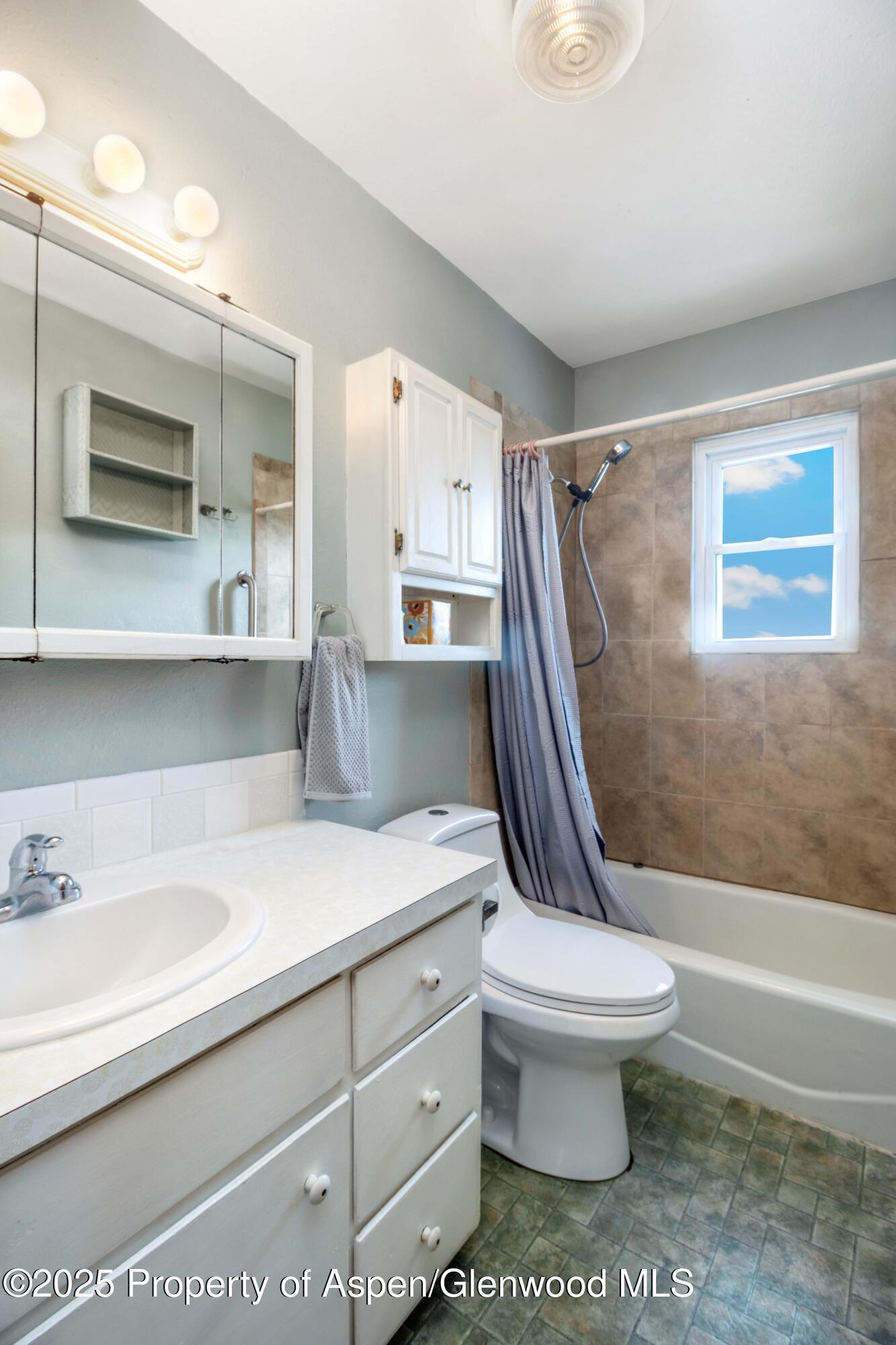 12303 West Spring Circle Eckert, CO 81418 - Photo 11 of 30 a bathroom with a sink a toilet and a bathtub
