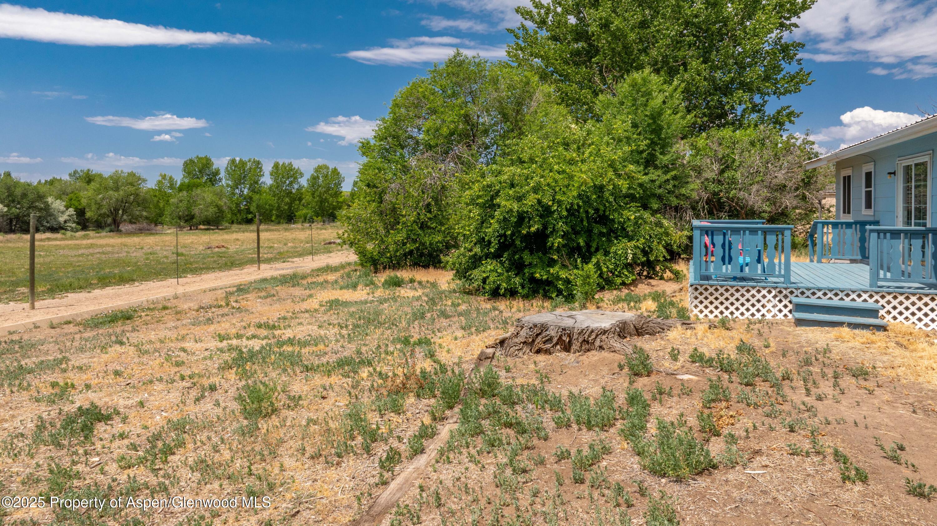 12303 West Spring Circle Eckert, CO 81418 - Photo 18 of 30 a view of a house with a yard