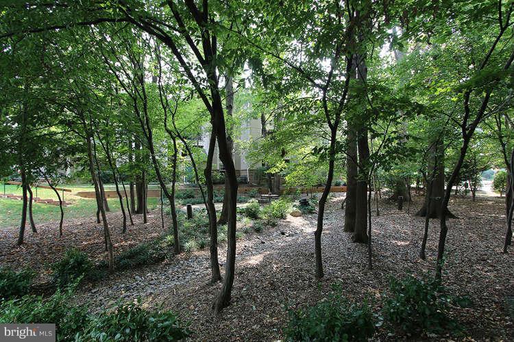 12009 Taliesin Place, Unit 14 Reston, VA 20190 - Photo 12 of 15 a view of a forest