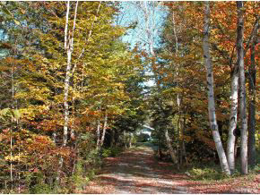 75 Upper Pinnacle Road Stowe, VT 05672 - Photo 31 of 33 Gallery Image 31