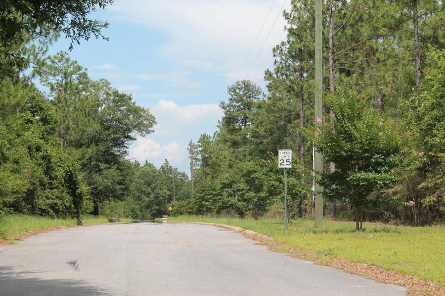 82-lots Timberland Ridge Drive Crestview, FL 32539 - Photo 13 of 21 a view of a yard with a trees