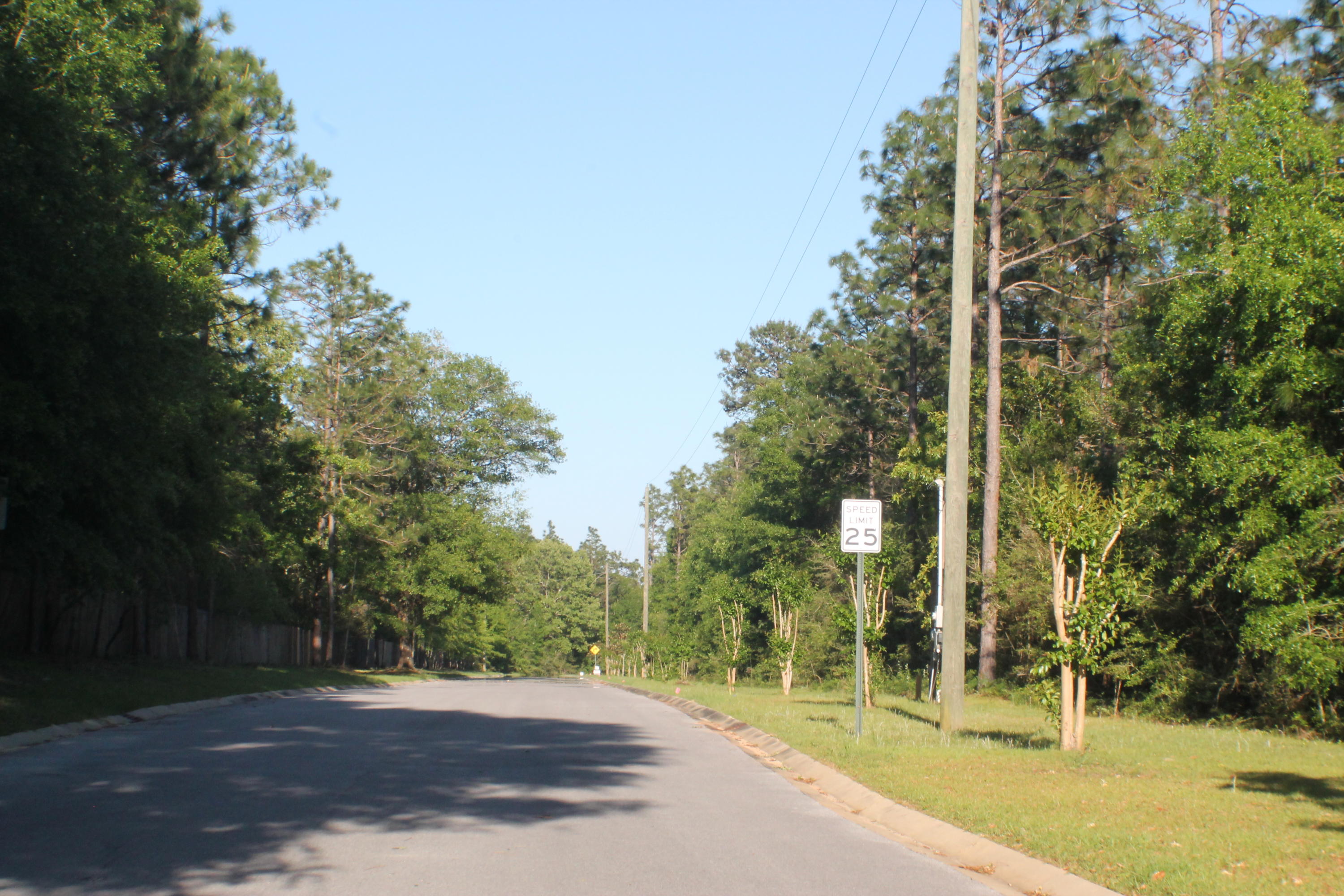 82-lots Timberland Ridge Drive Crestview, FL 32539 - Photo 3 of 21 a view of a park with trees