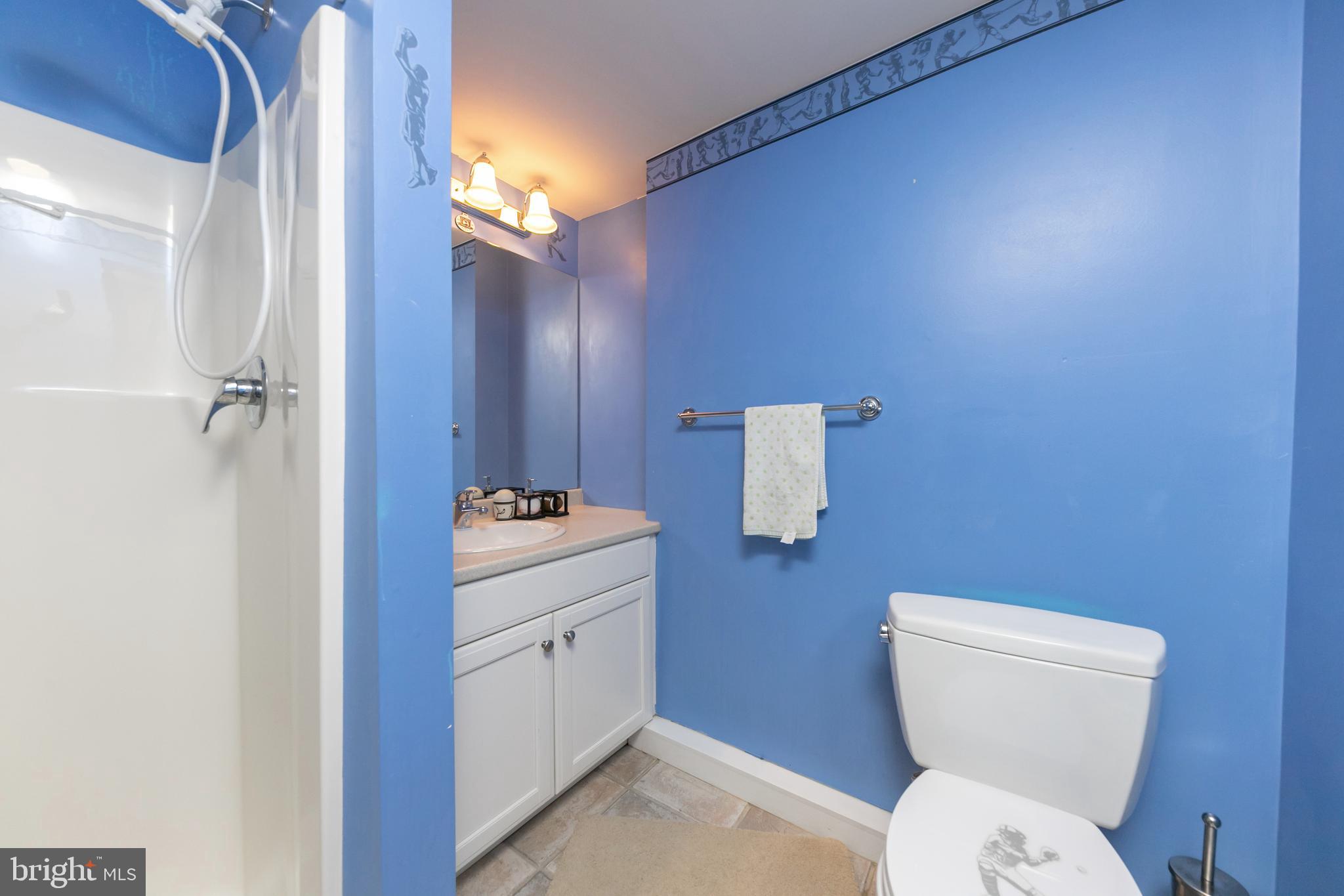 553 New Albany Road Moorestown, NJ 08057 - Photo 44 of 63 Full Bath Lower level