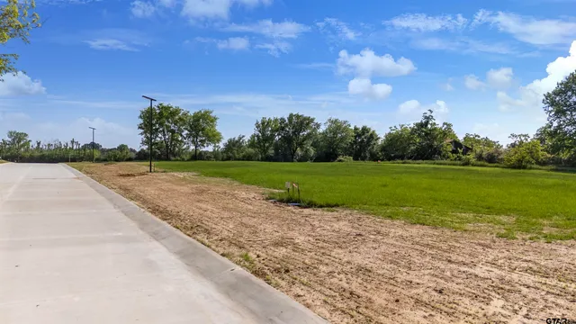 a view of a golf course with a yard