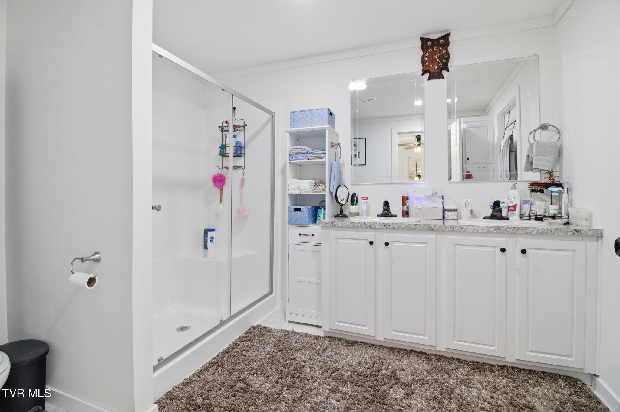 1885 Snake Hollow Road Greeneville, TN 37743 - Photo 11 of 26 10-web-or-mls-DZ3A9591