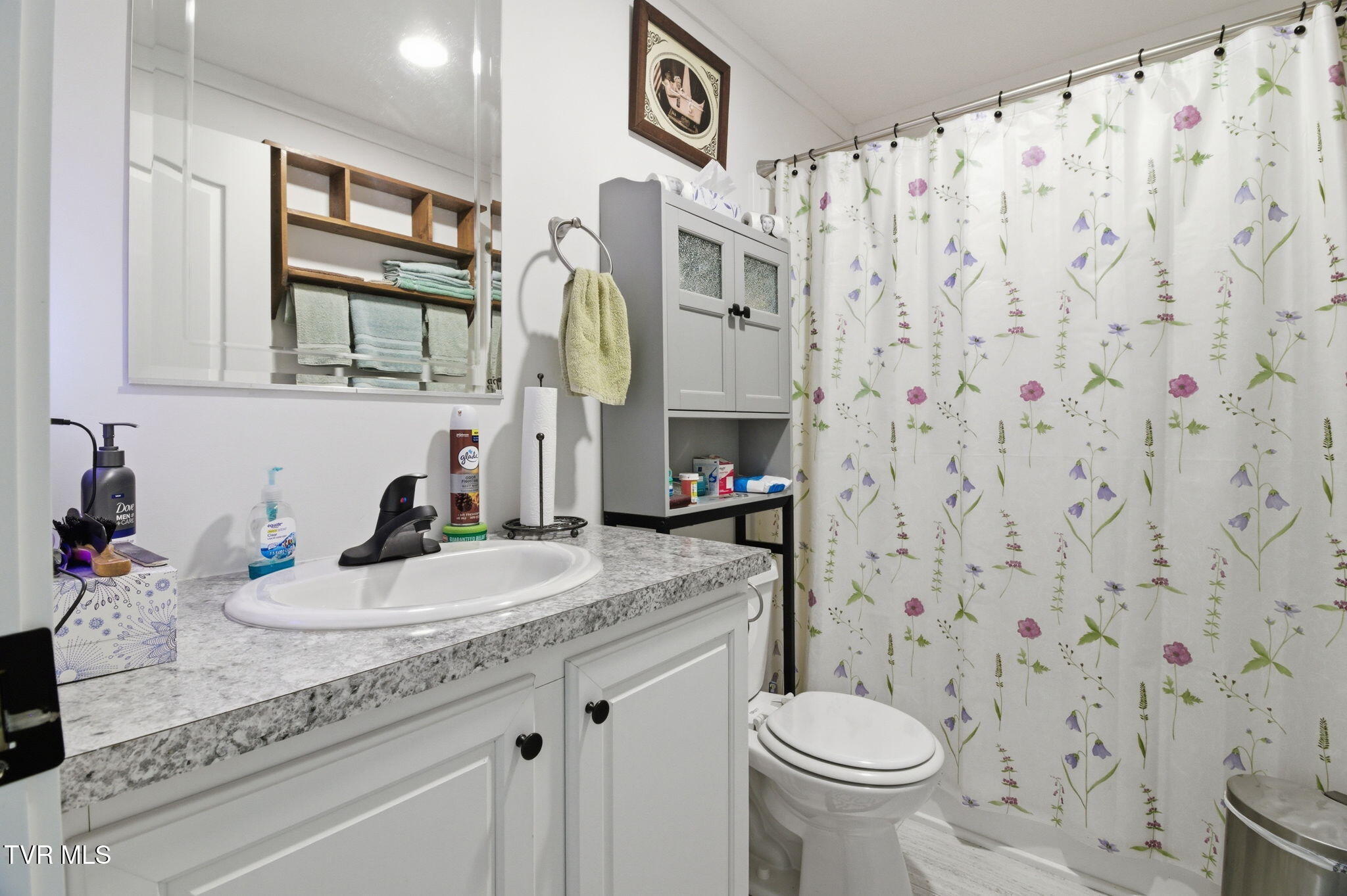 1885 Snake Hollow Road Greeneville, TN 37743 - Photo 15 of 26 15-web-or-mls-DZ3A9611