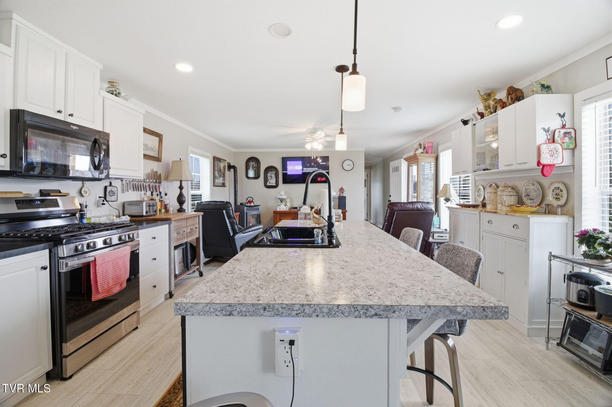 1885 Snake Hollow Road Greeneville, TN 37743 - Photo 2 of 26 1-web-or-mls-DZ3A9547