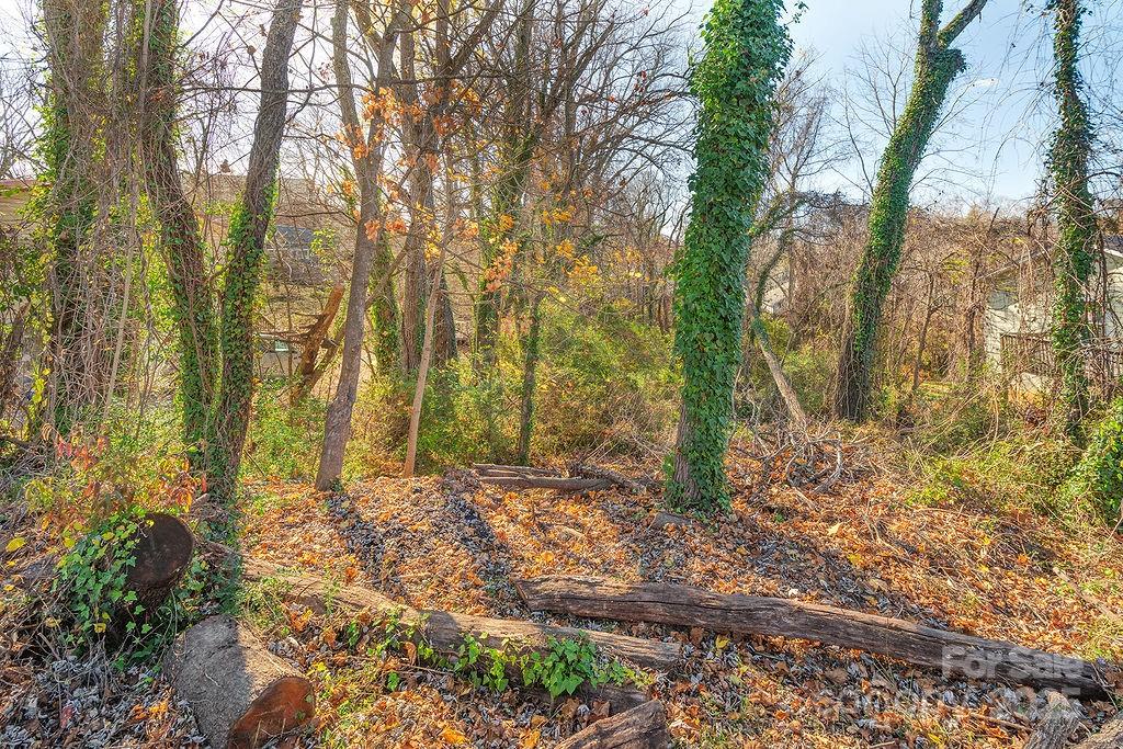 99999 Millbrook Road Asheville, NC 28806 - Photo 2 of 11 a big yard with lots of bushes