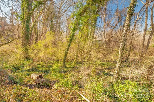 a view of a yard of a building