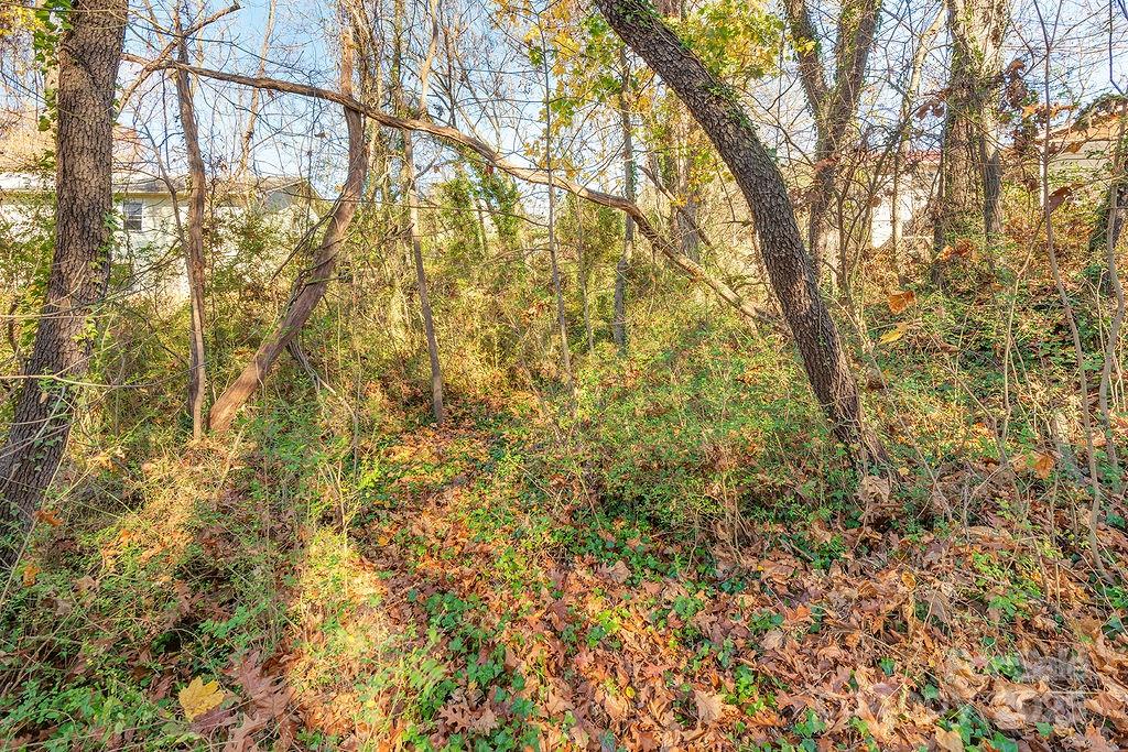 99999 Millbrook Road Asheville, NC 28806 - Photo 4 of 11 a view of a yard with plants and trees