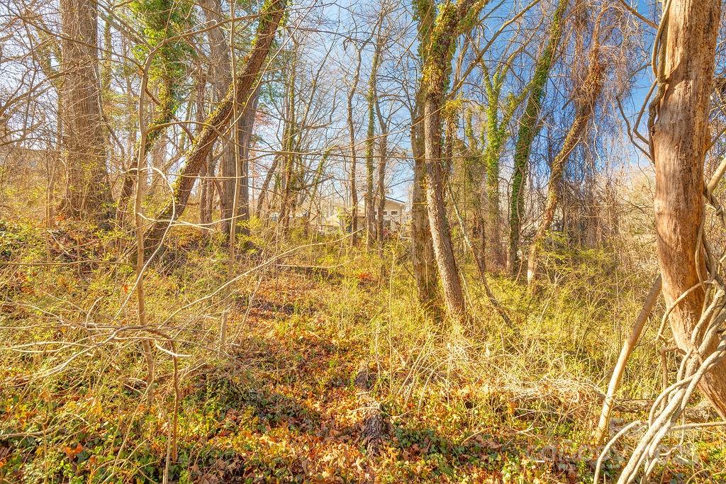 99999 Millbrook Road Asheville, NC 28806 - Photo 5 of 11 a bathroom with a shower curtain