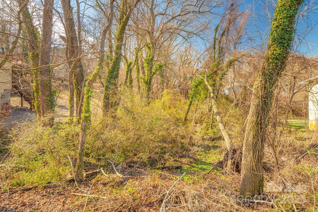 99999 Millbrook Road Asheville, NC 28806 - Photo 6 of 11 a bathroom with a shower