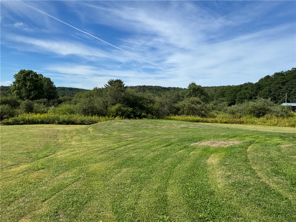 324 Ellis Road Laurens, NY 13796 - Photo 27 of 38