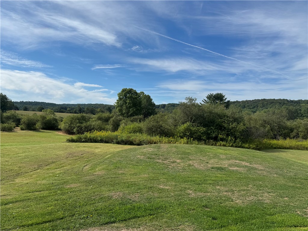 324 Ellis Road Laurens, NY 13796 - Photo 28 of 38