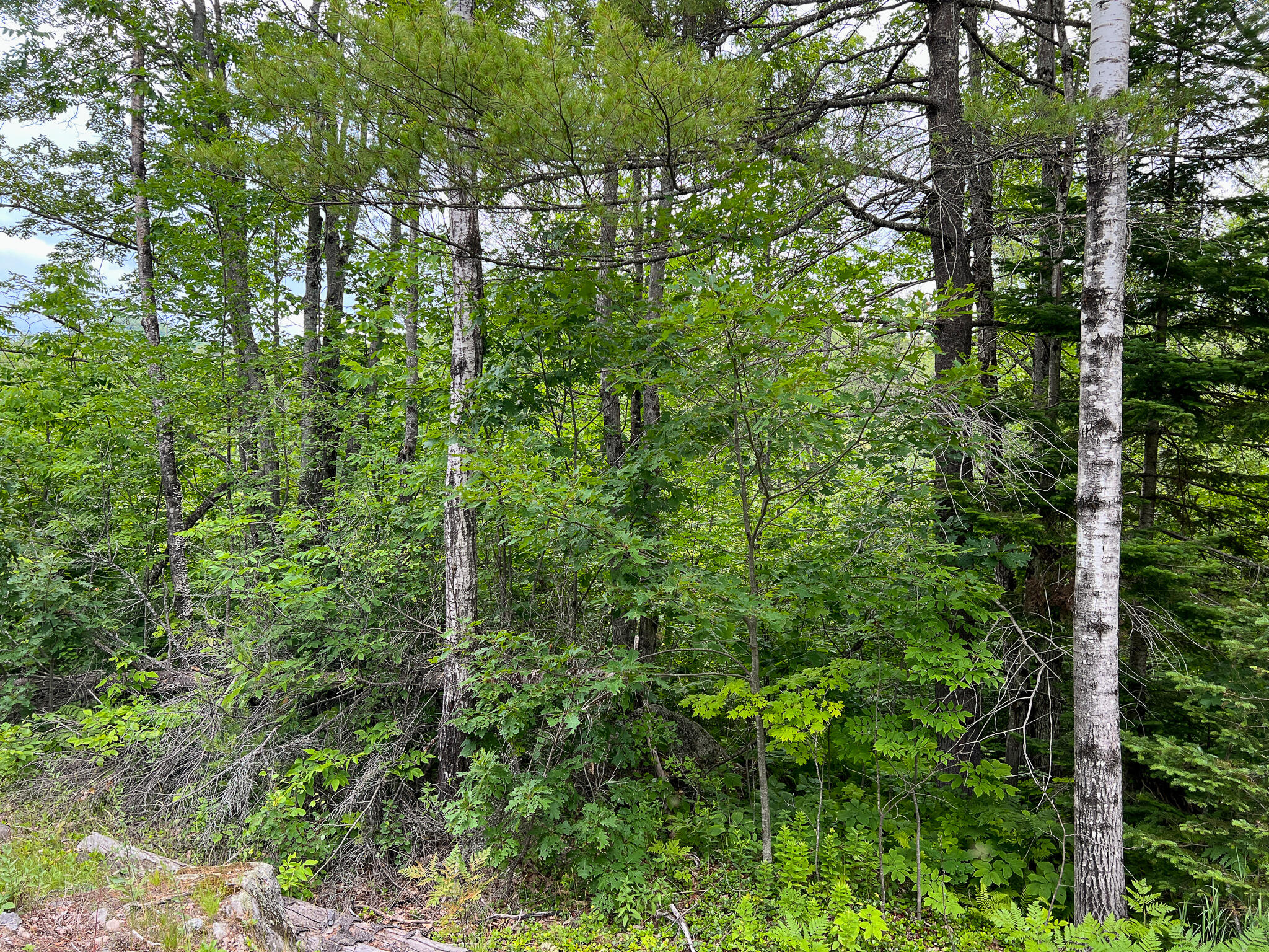 Lot 72-1 Hatstat Road Bethel, ME 04217 - Photo 11 of 18 IMG_7931