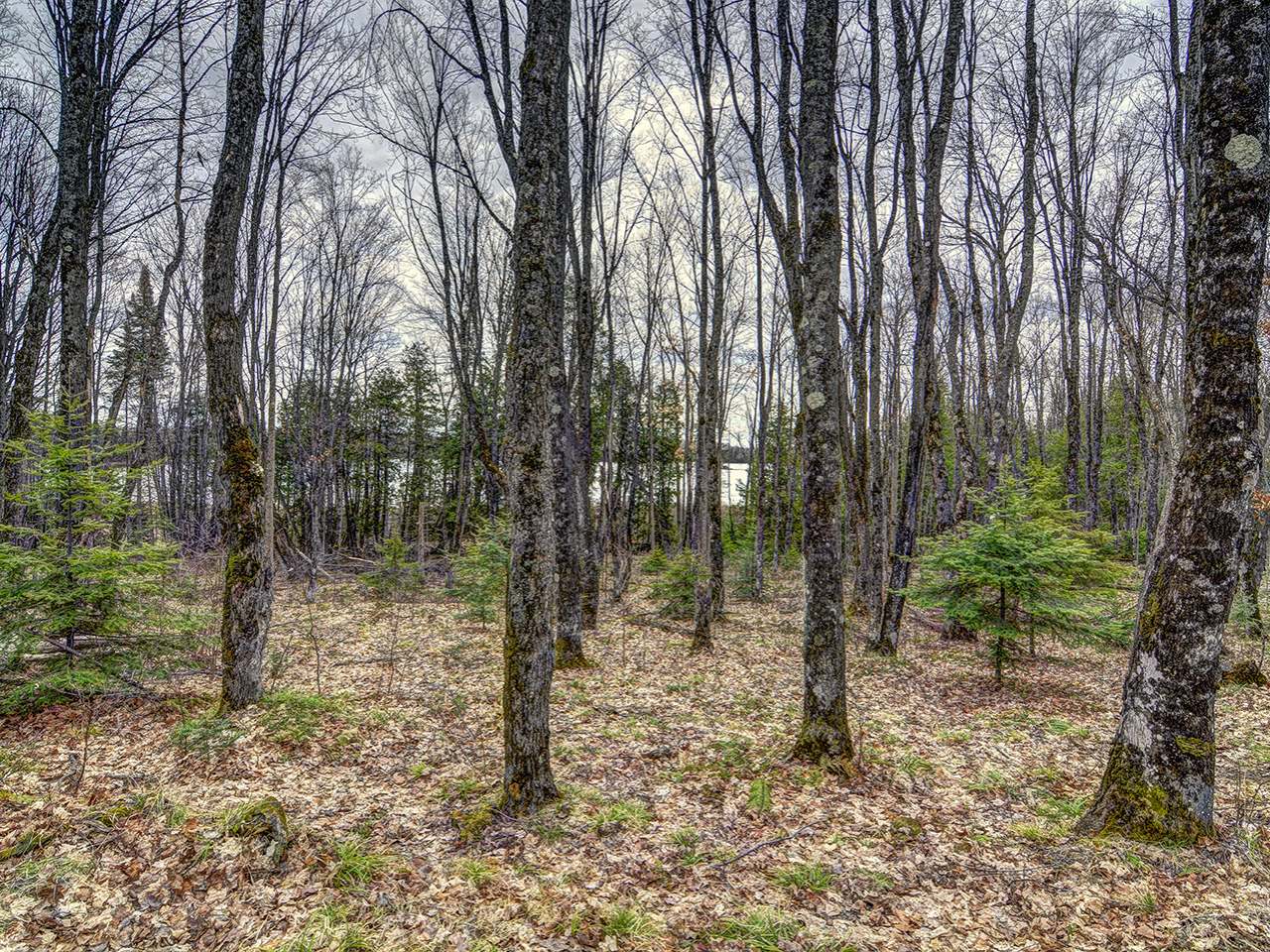 8064 Powderhorn Road Presque Isle, WI 54557 - Photo 13 of 26 Gallery Image 13