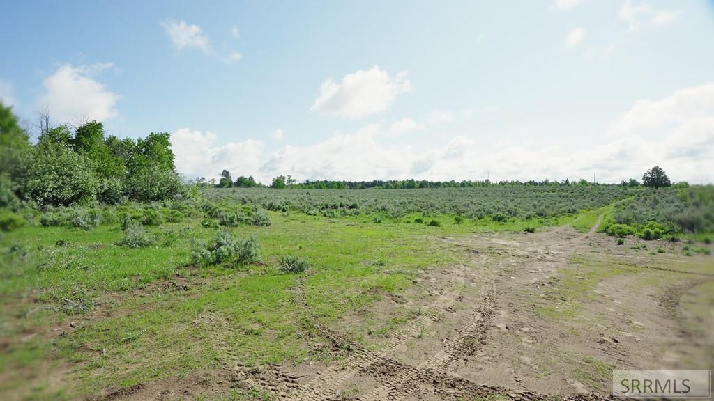 1555 Sadorus Hill Road Ashton, ID 83420 - Photo 6 of 16