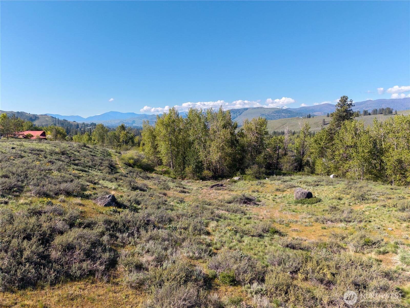 265 East Chewuch Road Winthrop, WA 98862 - Photo 14 of 28 Gallery Image 14