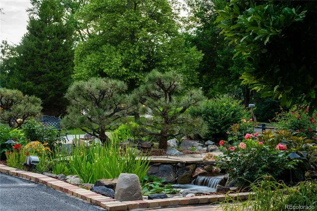 a small yard with plants and large trees