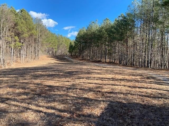 6 Brown Trace Road South Pittsburg, TN 37380 - Photo 5 of 7 Gallery Image 5