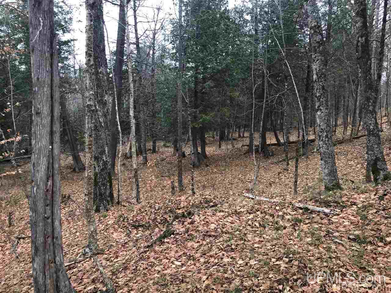 Tbd Off River Road, Unit 2 Hermansville, MI 49847 - Photo 22 of 34