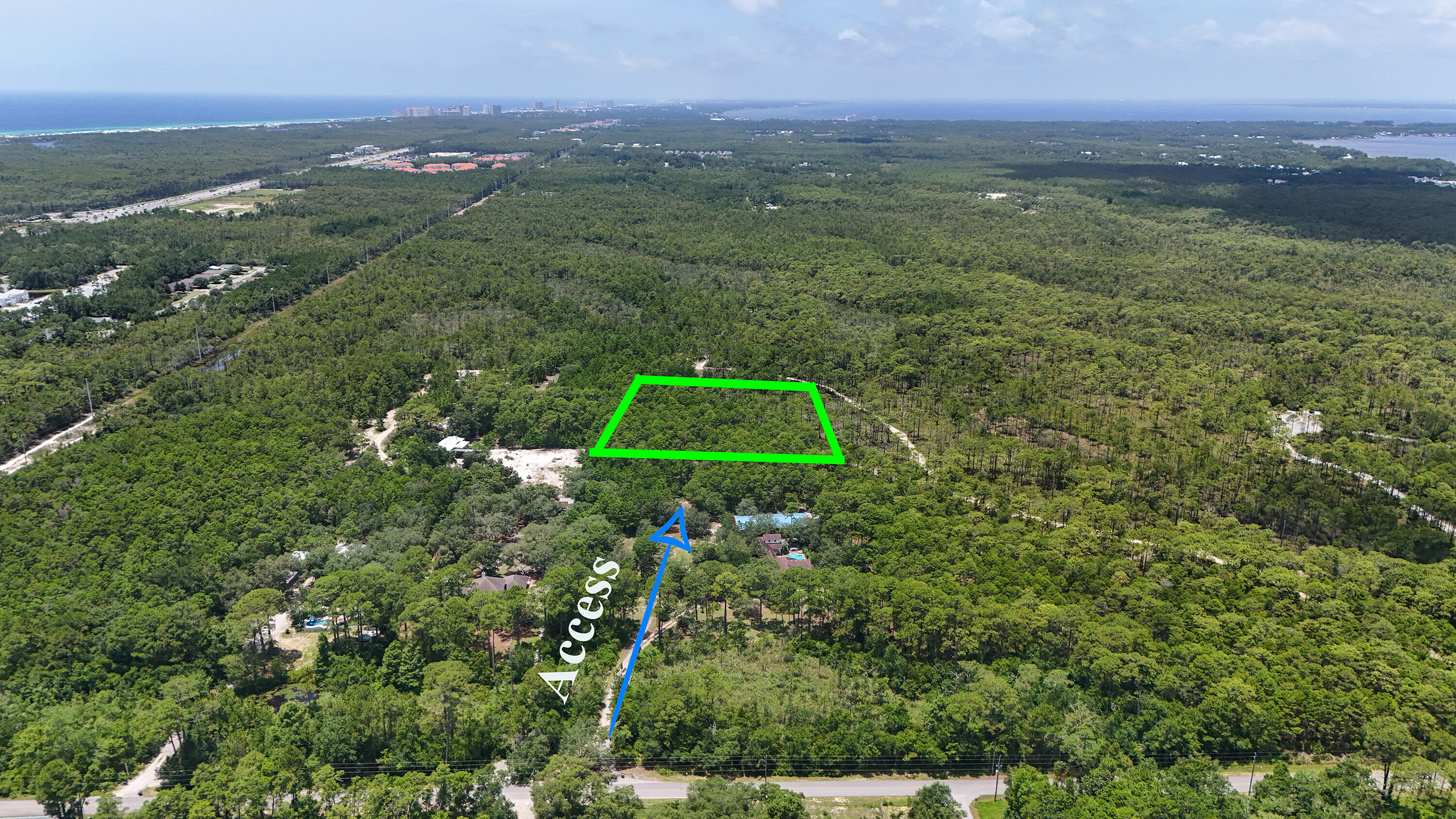 461 Don Bishop Road Santa Rosa Beach, FL 32459 - Photo 14 of 17 a view of a lush green forest with lots of trees