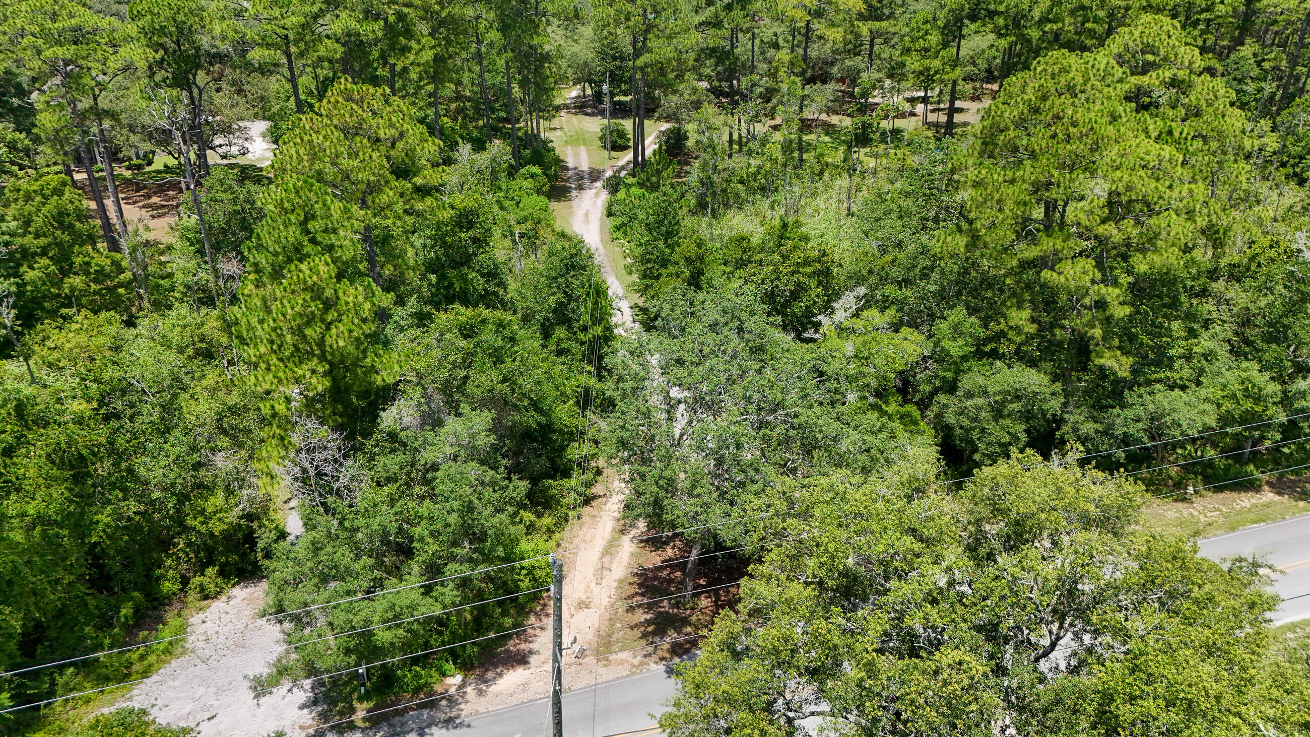 461 Don Bishop Road Santa Rosa Beach, FL 32459 - Photo 15 of 17 a view of a forest with a tree