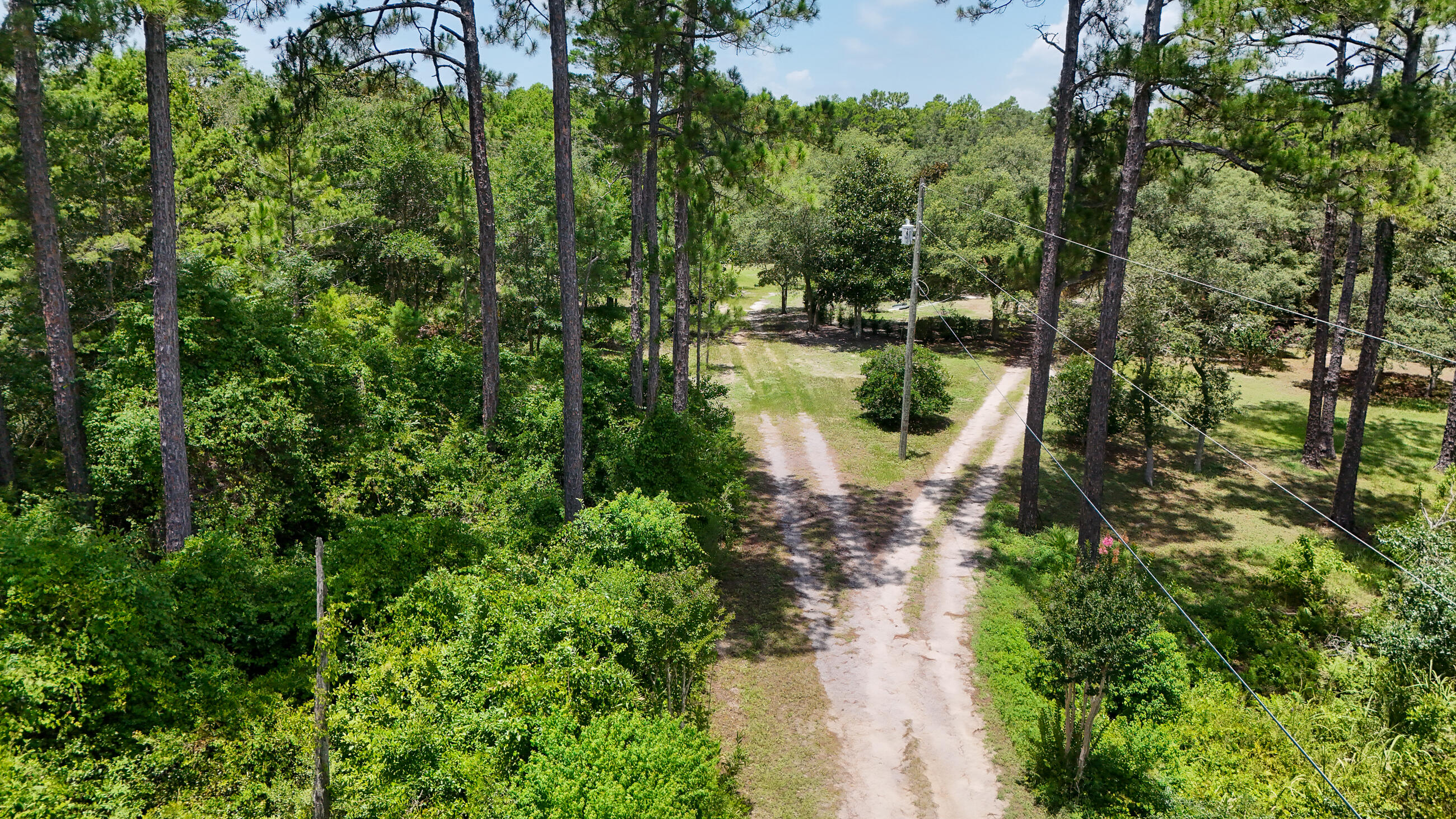461 Don Bishop Road Santa Rosa Beach, FL 32459 - Photo 16 of 17 a view of a water pond with green plants