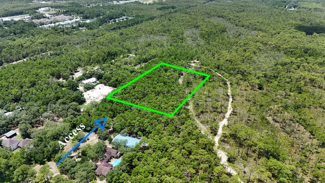 a green field with lots of trees