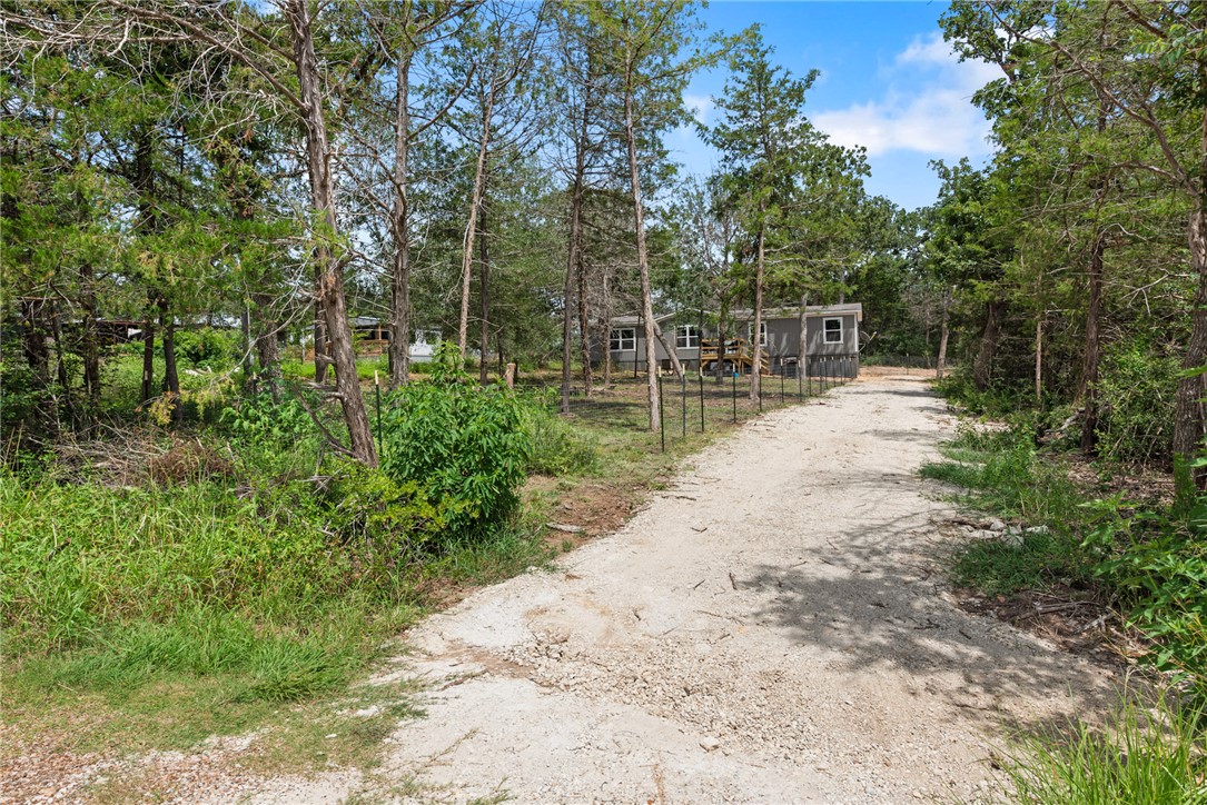 309 Tanglewood Lane Somerville, TX 77879 - Photo 2 of 21 a view of a backyard with plants and large trees