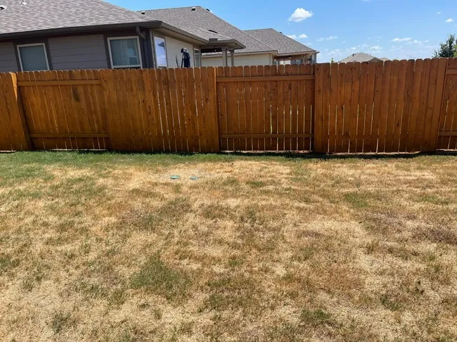 a view of a backyard