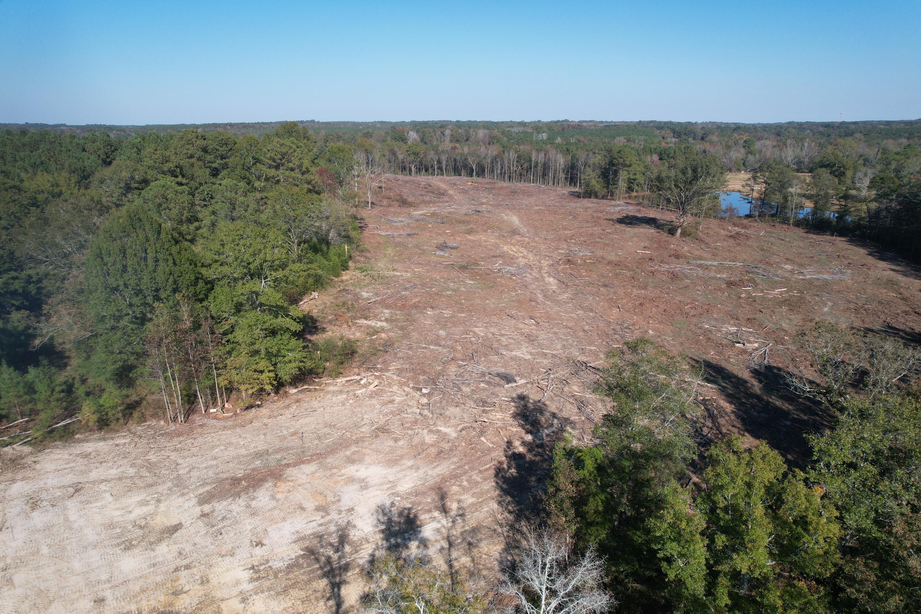 0 Slide Hill Road Johnston, SC 29832 - Photo 1 of 11 DJI_0466