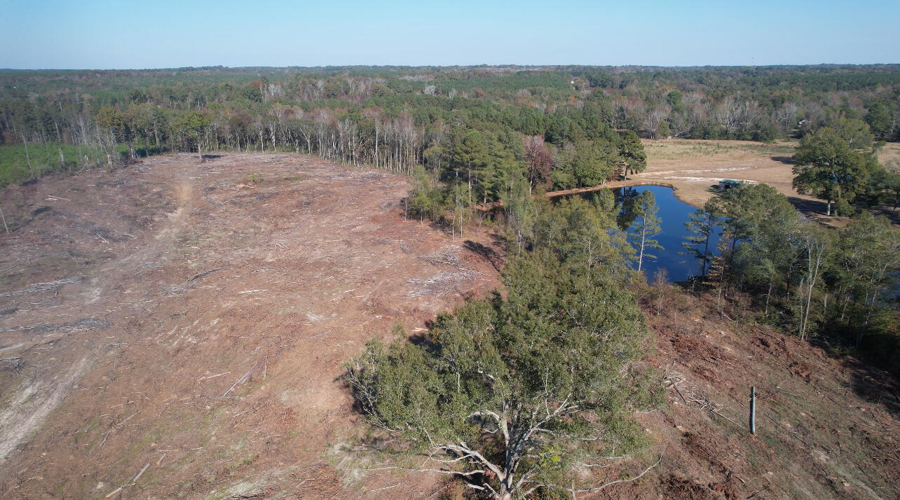 0 Slide Hill Road Johnston, SC 29832 - Photo 8 of 11 IMG_7340