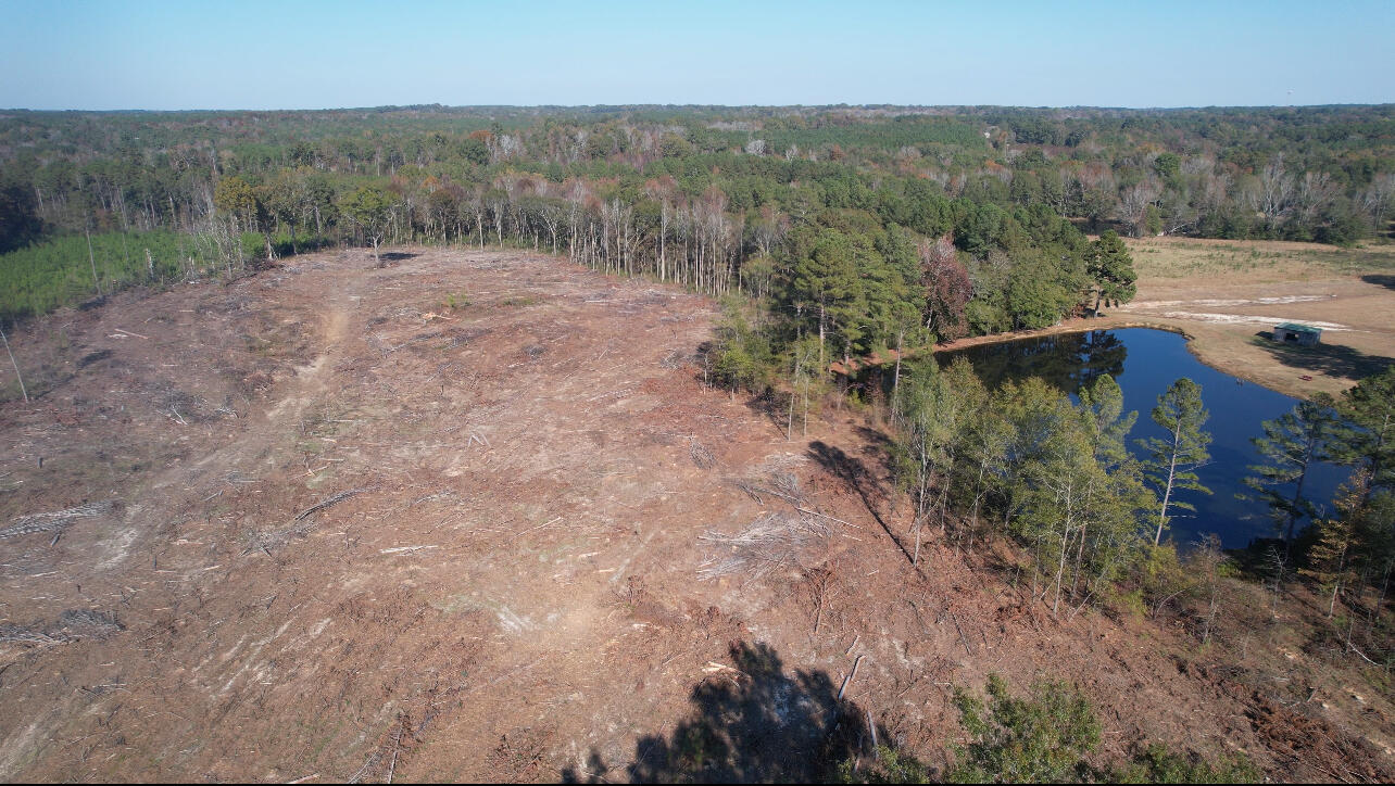 0 Slide Hill Road Johnston, SC 29832 - Photo 9 of 11 IMG_7341