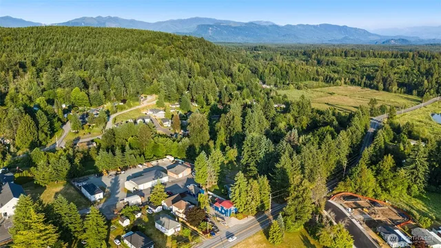 a view of a lush green field with mountains in the background