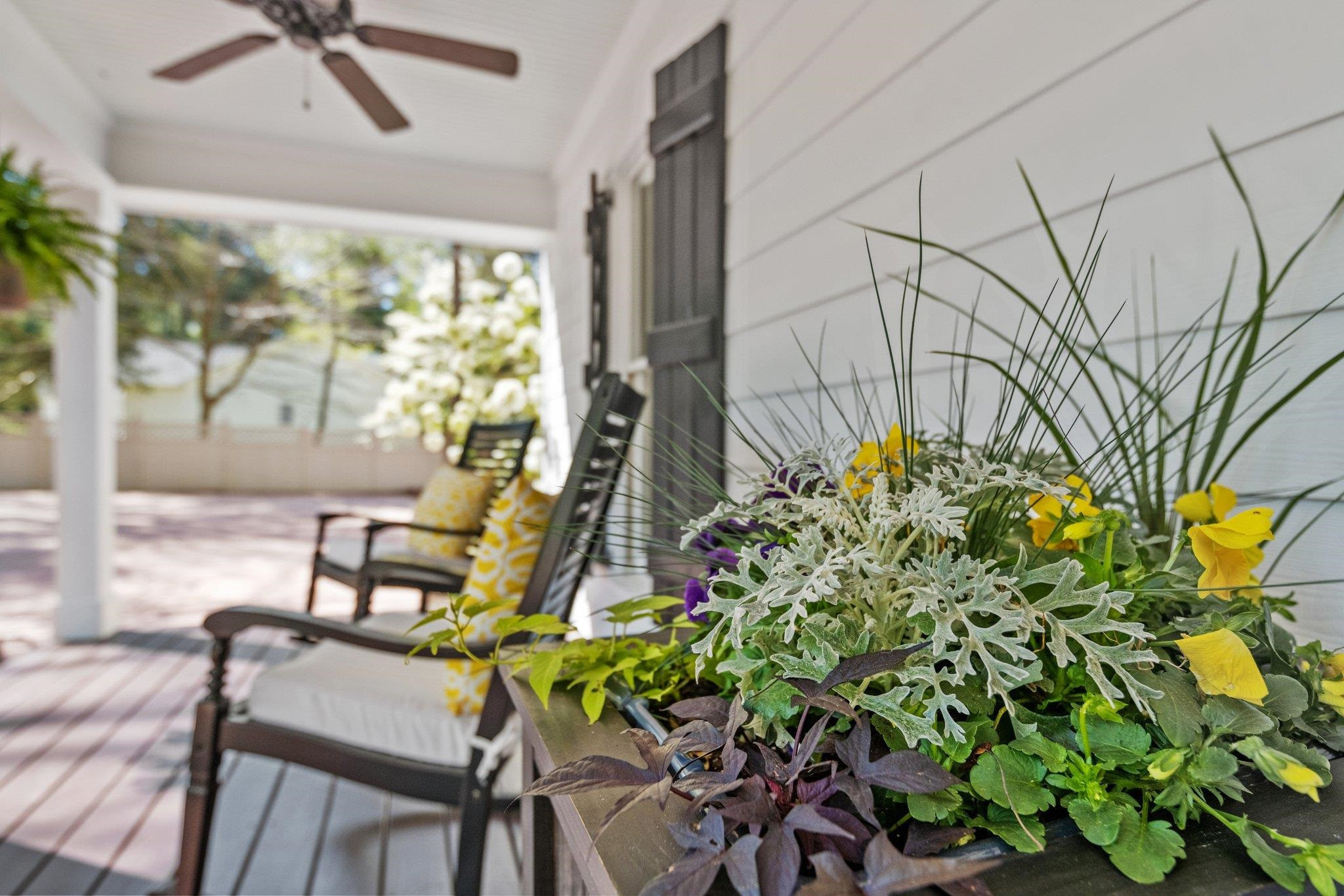 2505 Mt Vernon Church Road Raleigh, NC 27614 - Photo 5 of 64 Photo 5
